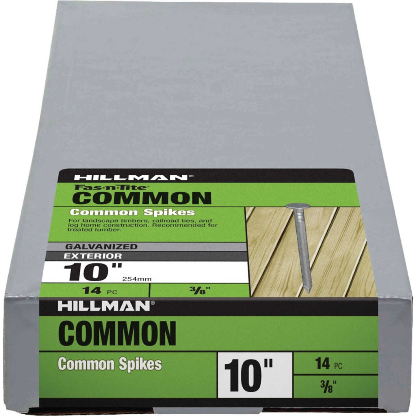 Hillman Fas-n-Tite 10 In. Hot Dipped Galvanized Common Spikes (14-Count) Image 1