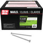 Grip-Rite 5 In. 40d x 4 ga Smooth Shank Flat Head Hot-Dipped Galvanized Steel Common Nail (50 Lb.) Image 1