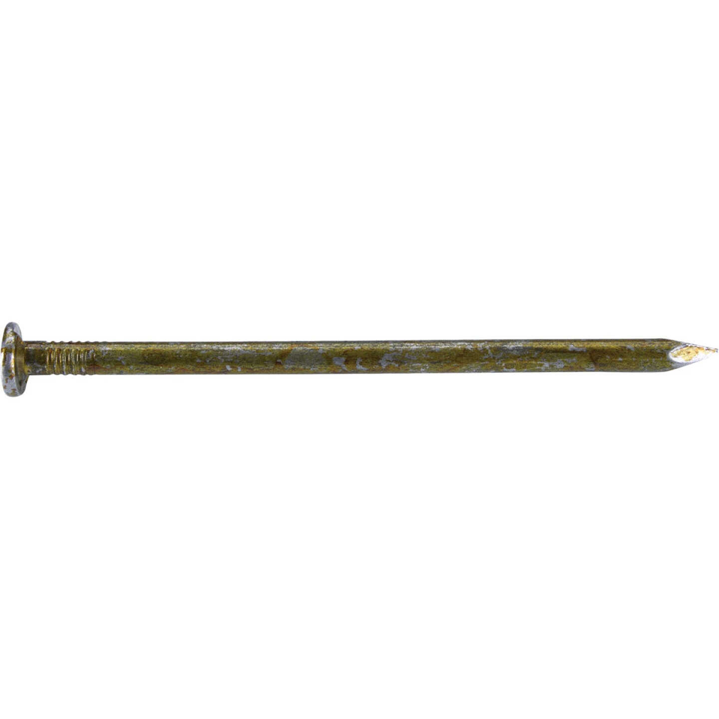 Grip-Rite 3-3/4 In. x 7 ga x 20d Coated Sinker Framing Nails (40-Count) Image 2