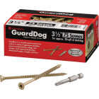 FastenMaster GuardDog 3-1/2 In. Deck Screw (75-Count) Image 1