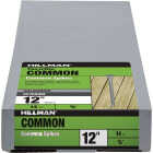 Hillman Fas-n-Tite 12 In. Hot Dipped Galvanized Common Spikes (14-Count) Image 1