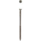 SPAX PowerDeck #10 x 3 In. T20 Plus Trim Head 304 Stainless Steel (Exterior Rated) Deck Screw (66-Count) Image 1