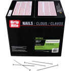 Grip-Rite 4 In. 20d x 9 ga Hot Dipped Galvanized Steel Box Nail (5 Lb.) Image 1