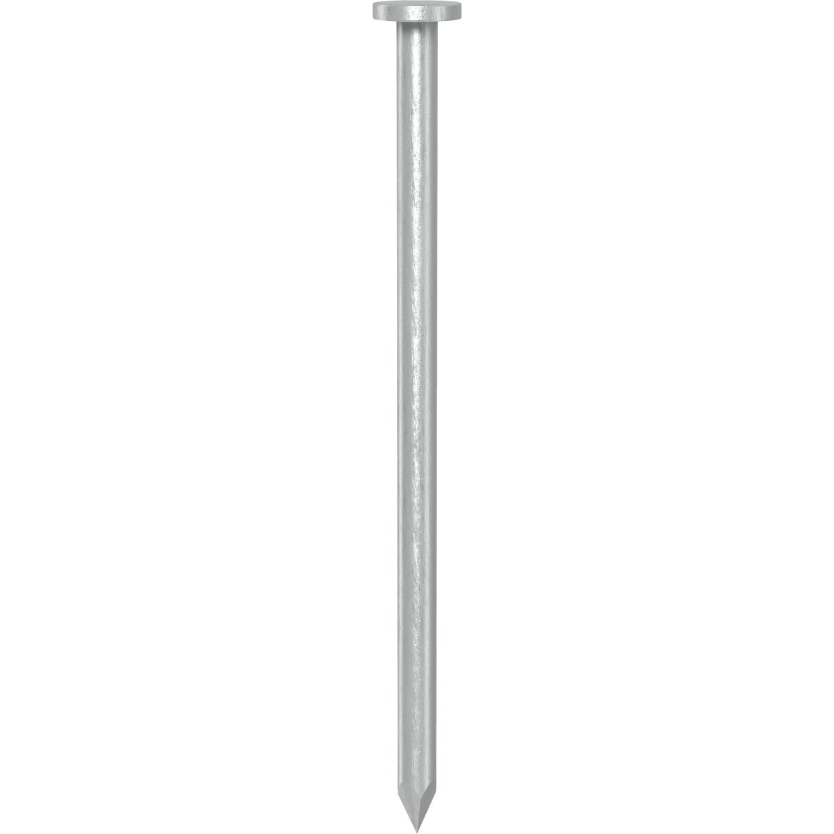 Grip-Rite 3 In. x 9 ga x 10d Hot Galvanized Common Nails (66-Count) Image 3