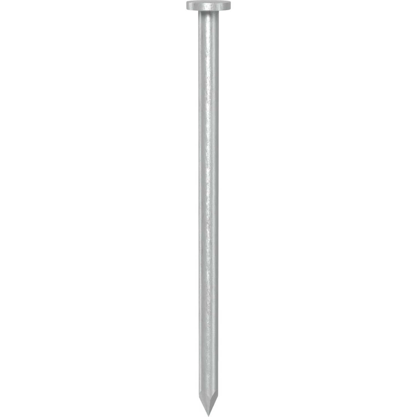 Grip-Rite 3 In. x 9 ga x 10d Hot Galvanized Common Nails (330-Count) Image 3