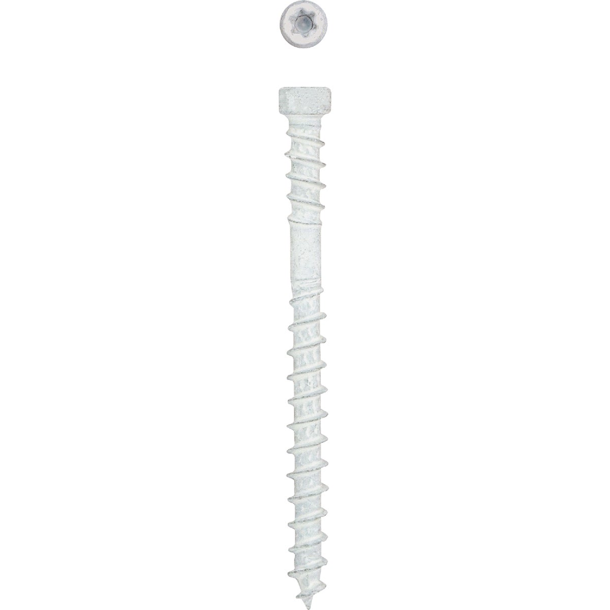SPAX #8 x 2 In. T10 Plus Cylindrical Head HCR (Exterior Rated) White Trim Screw (100-Count)