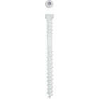 SPAX #8 x 2 In. T10 Plus Cylindrical Head HCR (Exterior Rated) White Trim Screw (100-Count) Image 1