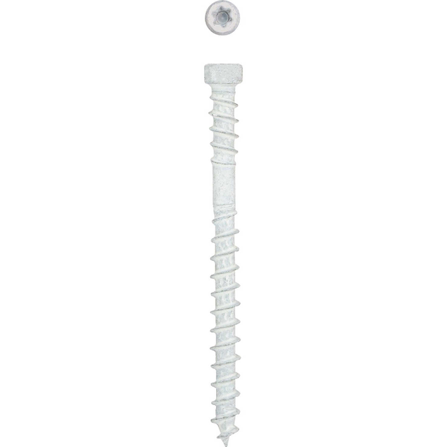 SPAX #8 x 2 In. T10 Plus Cylindrical Head HCR (Exterior Rated) White Trim Screw (100-Count) Image 1