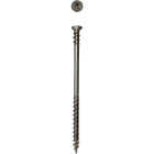 SPAX PowerDeck #10 x 3-1/2 In. T20 Plus Trim Head 304 Stainless Steel (Exterior Rated) Deck Screw (57-Count) Image 1