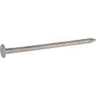 Hillman Fas-n-Tite 2 In. Hot Dipped Galvanized Box Nails (224-Count) Image 2