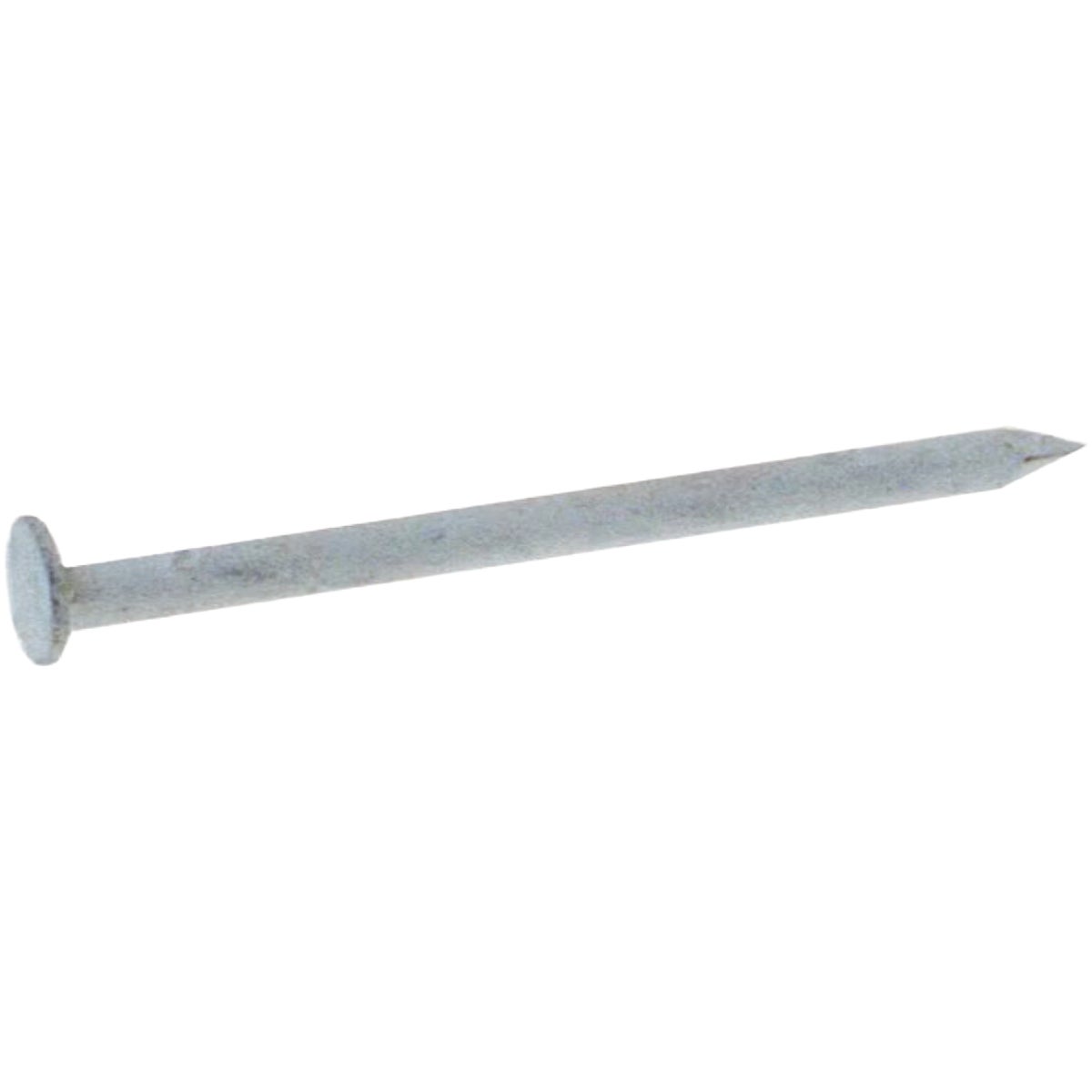 Grip-Rite 1-1/4 In. White Stainless Steel Trim Nail (1.5 Lb.)