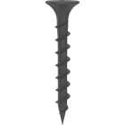 Grip-Rite #6 x 1-1/4 In. Coarse Thread Black Phosphate Drywall Screw (5 Lb.) Image 3