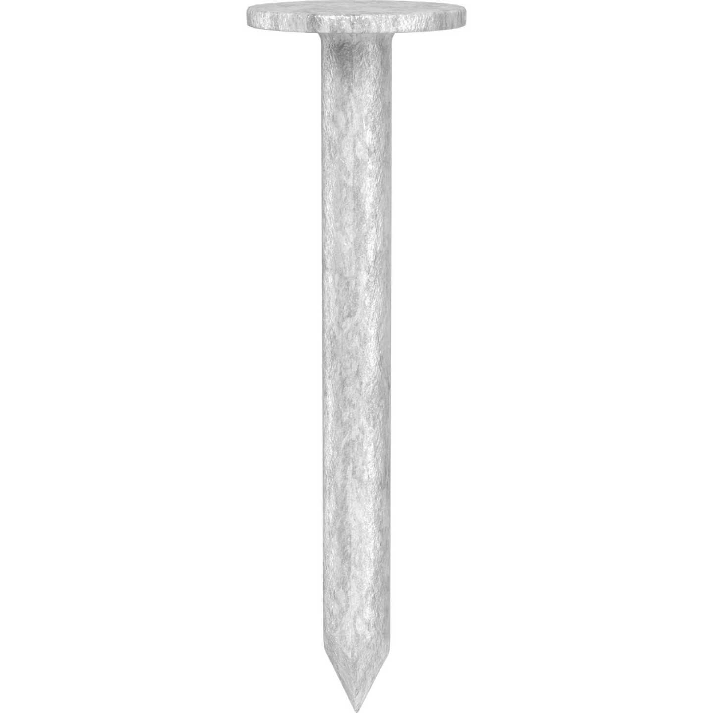 Grip-Rite 1-1/4 In. x 11 ga Smooth Shank Hot Dipped Galvanized Steel Roofing Nail (50 Lb.) Image 1