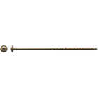 Big Timber #17 x 8 In. Lag Screw (25-Count) Image 2