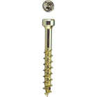 SPAX #8 x 1-1/4 In. T10 Plus Cylindrical Head HCR (Exterior Rated) Yellow Trim Screw (100-Count) Image 1