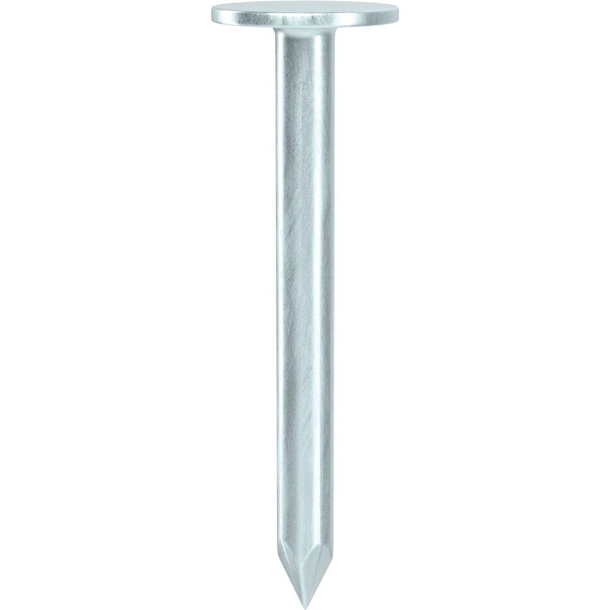 Grip-Rite 1-1/4 In. x 11 ga Electrogalvanized Roofing Nails (1090-Count) Image 2