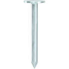 Grip-Rite 1-1/4 In. x 11 ga Electrogalvanized Roofing Nails (1090-Count) Image 2