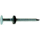 Do it Best 1-3/4 In. x 9 ga x 5d Roofing Nails (260-Count) Image 1