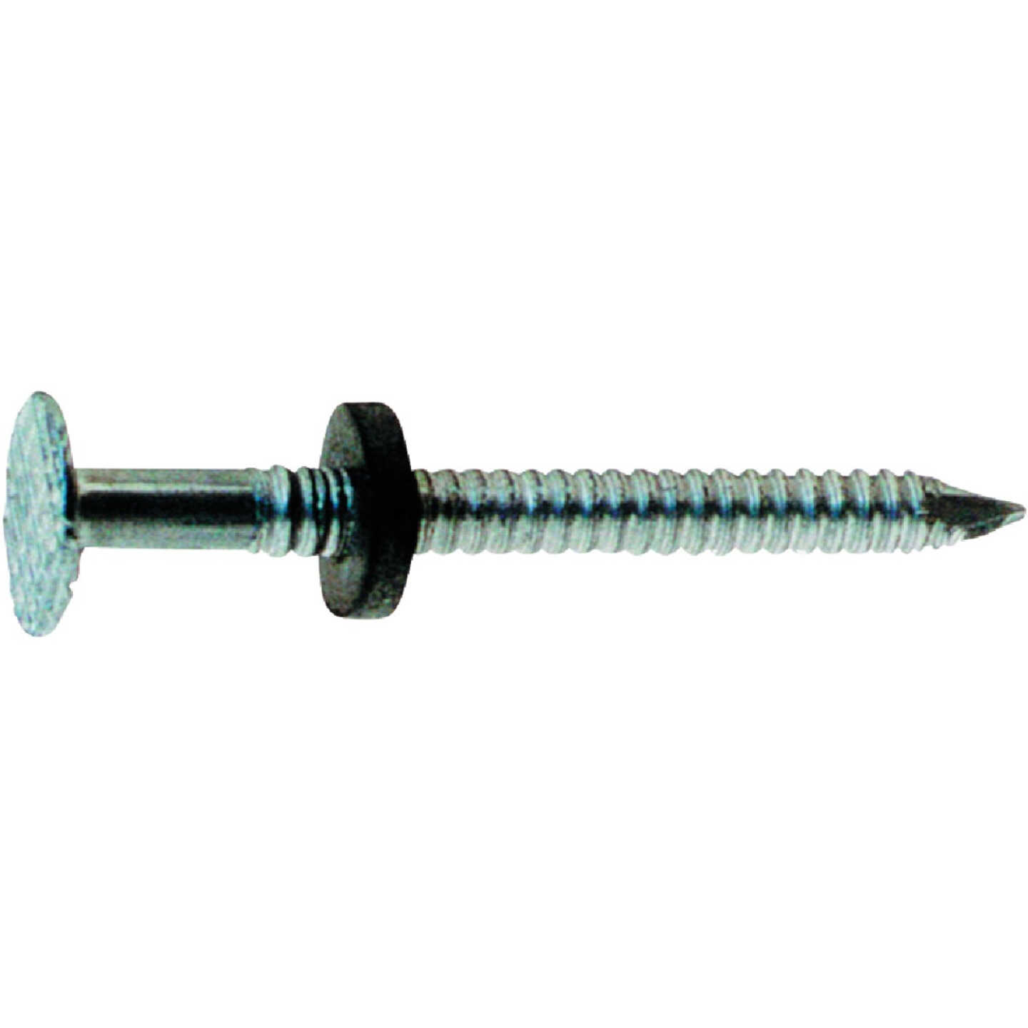 Do it Best 1-3/4 In. x 9 ga x 5d Roofing Nails (260-Count) Image 1