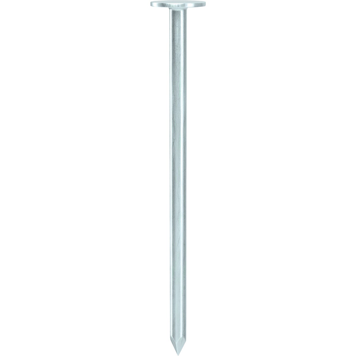 Grip-Rite 2-1/2 In. x 11 ga Electrogalvanized Roofing Nails (114-Count) Image 3