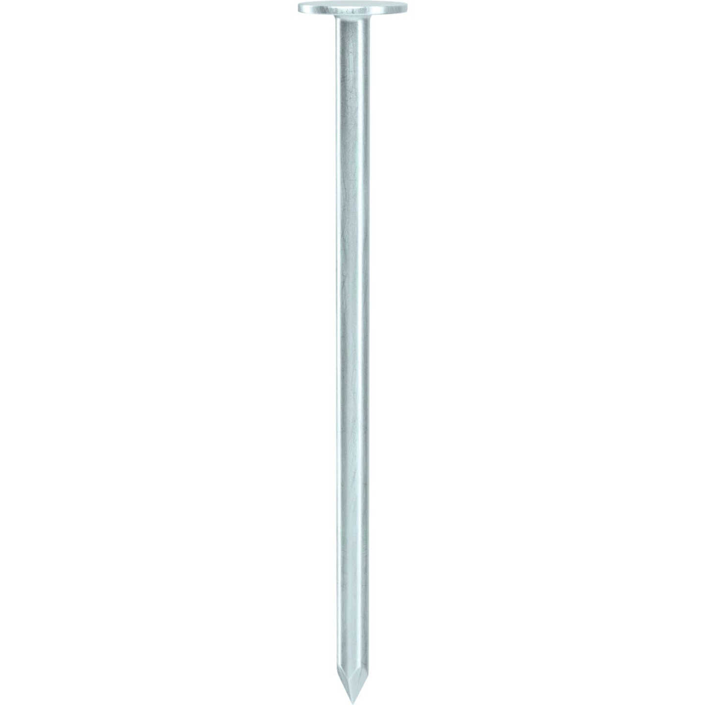 Grip-Rite 2-1/2 In. x 11 ga Electrogalvanized Roofing Nails (570-Count) Image 3