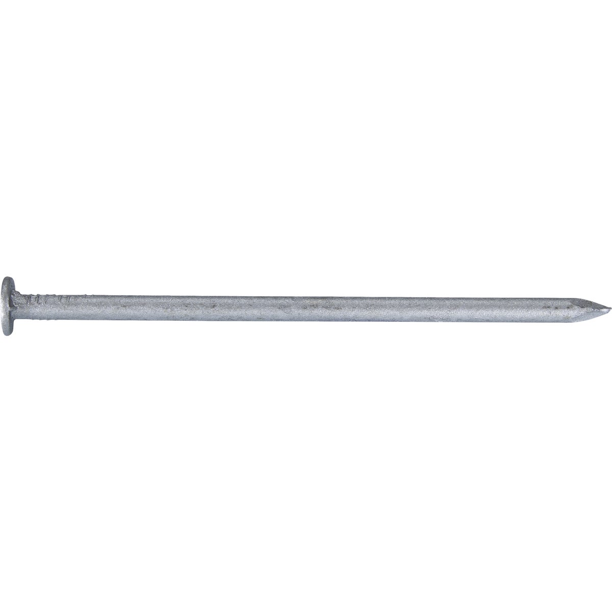 Grip-Rite 3 In. x 10-1/2 ga x 10d Hot Galvanized Box Nails (94-Count) Image 1