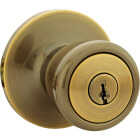 Steel Pro Antique Brass Entry Door Knob Image 1