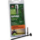 SPAX PowerLags 1/4 In. x 5 In. T30 Washer Head HCR (Exterior Rated) Lag Screw (12-Count) Image 6