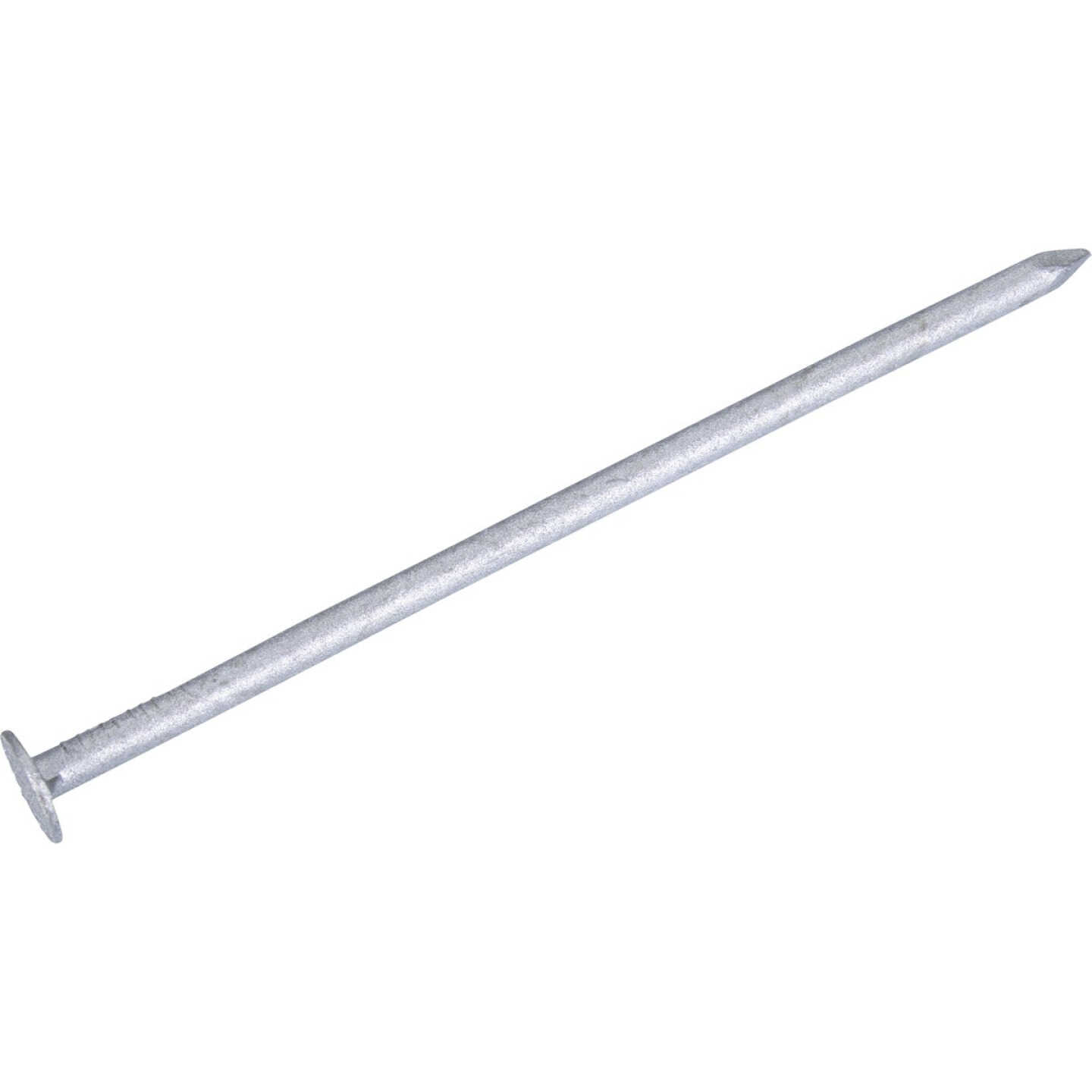 Grip-Rite 3-1/2 In. x 10 ga x 16d Hot Galvanized Box Nails (71-Count) Image 1