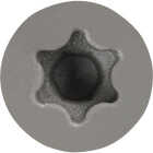 Fastenmaster TrapEase #10 x 2-1/2 In. Dark Gray Ultimate Composite Deck Screw (350-Count) Image 3