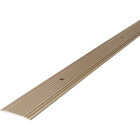 M-D Building Products 1-1/4 In. x 72 In. Pewter Aluminum Seam Binder with Screw Nails Image 1