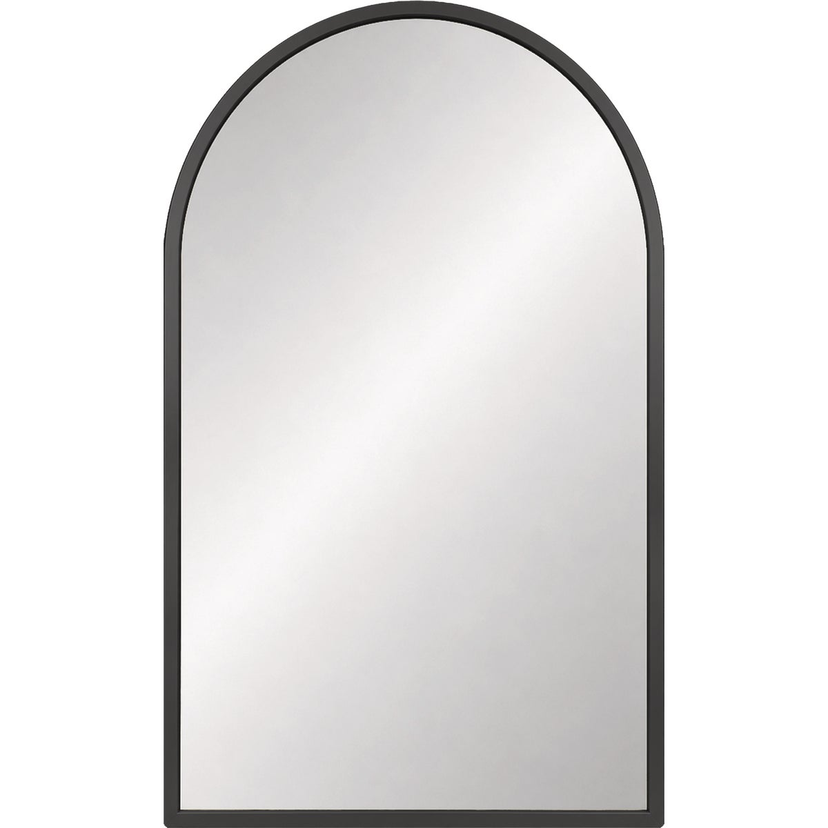 Renin Lodi Black 20 In. x 30 In. Arched Fluted Outer Frame Vanity Mirror