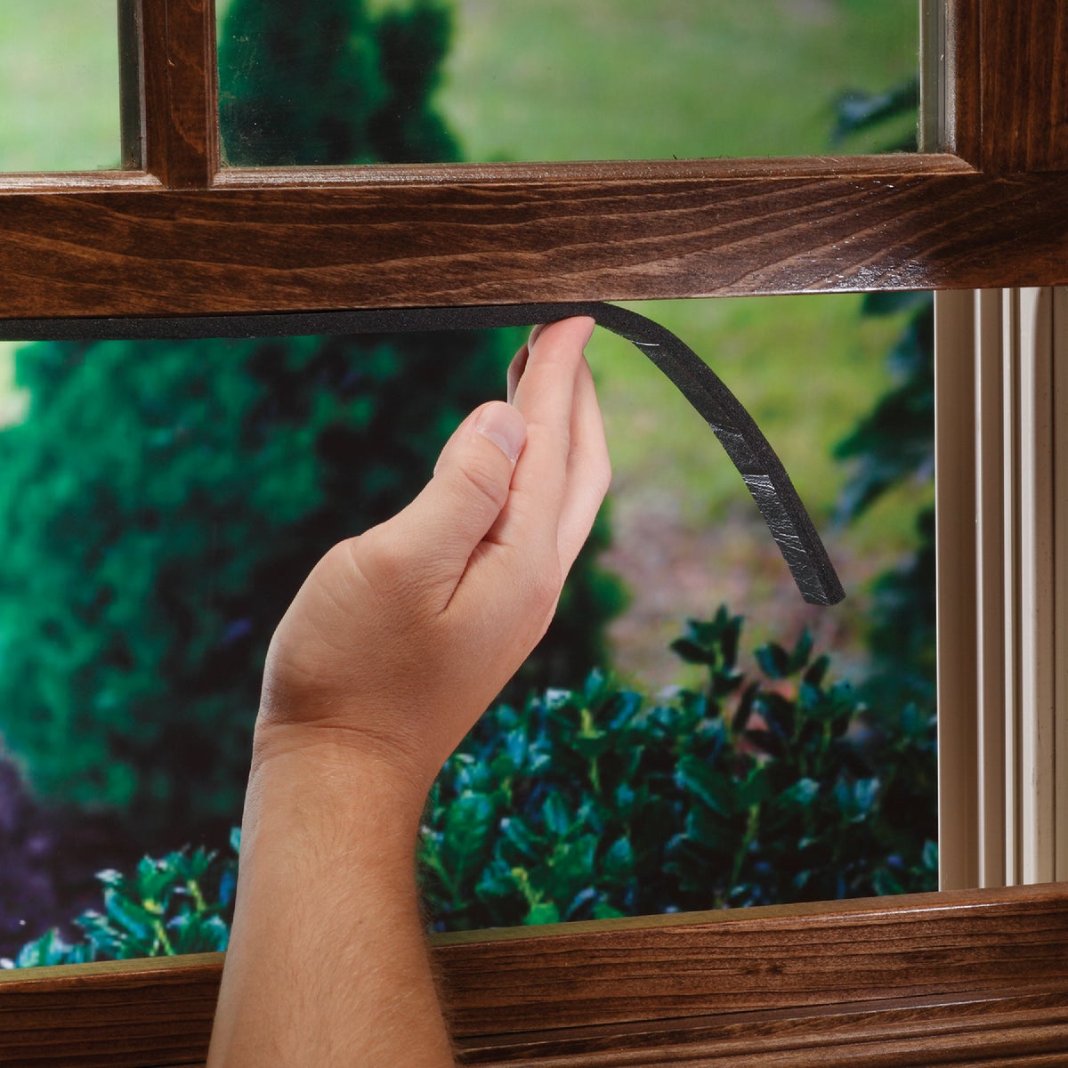 M-D Building Products 1/4 In. x 3/4 In. x 10 Ft. Black Sponge Window Seal for Small Gaps Image 3
