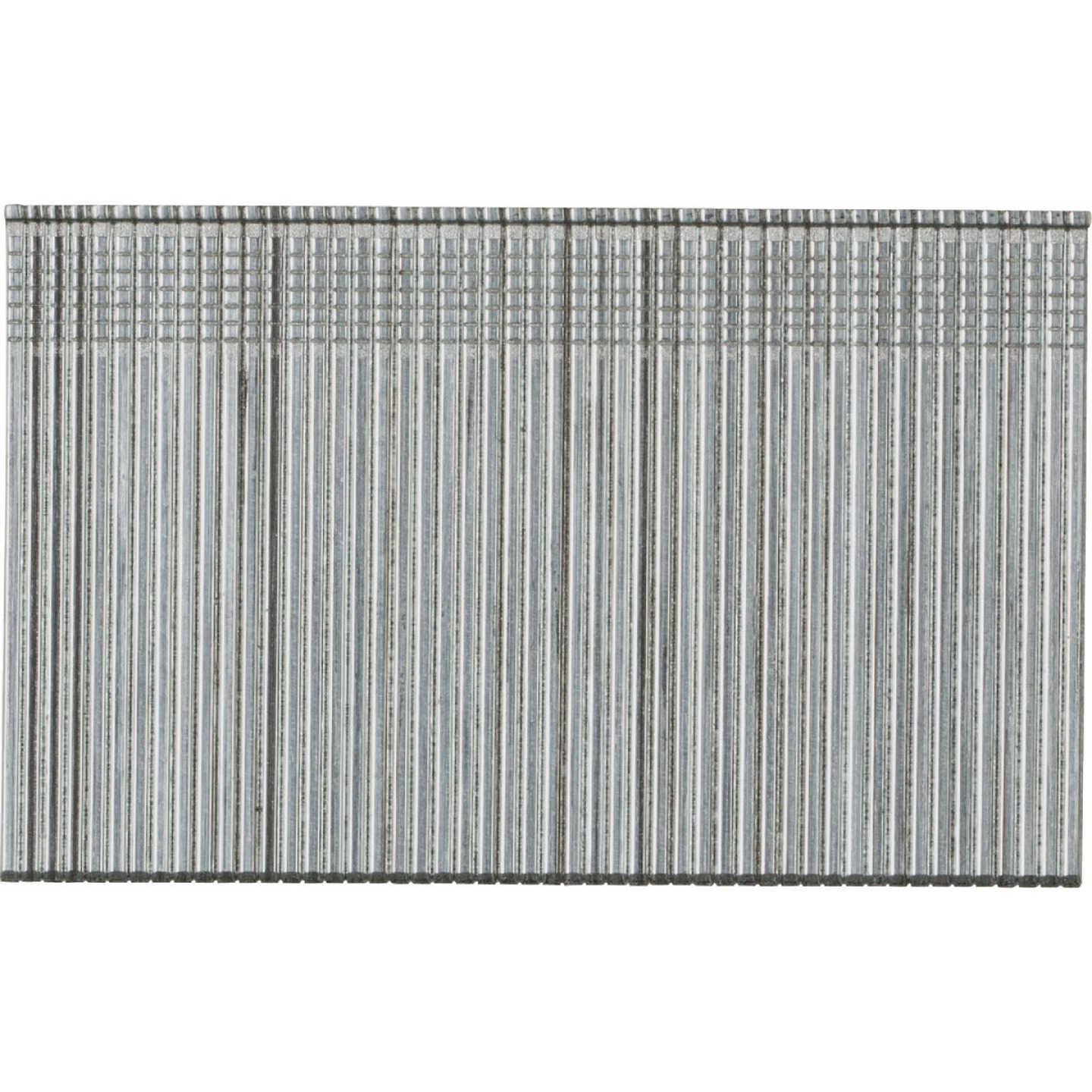Pro-Fit 2 In. 16 Gauge Electro Galvanized Straight Finish Nail (1000 Ct.) Image 1