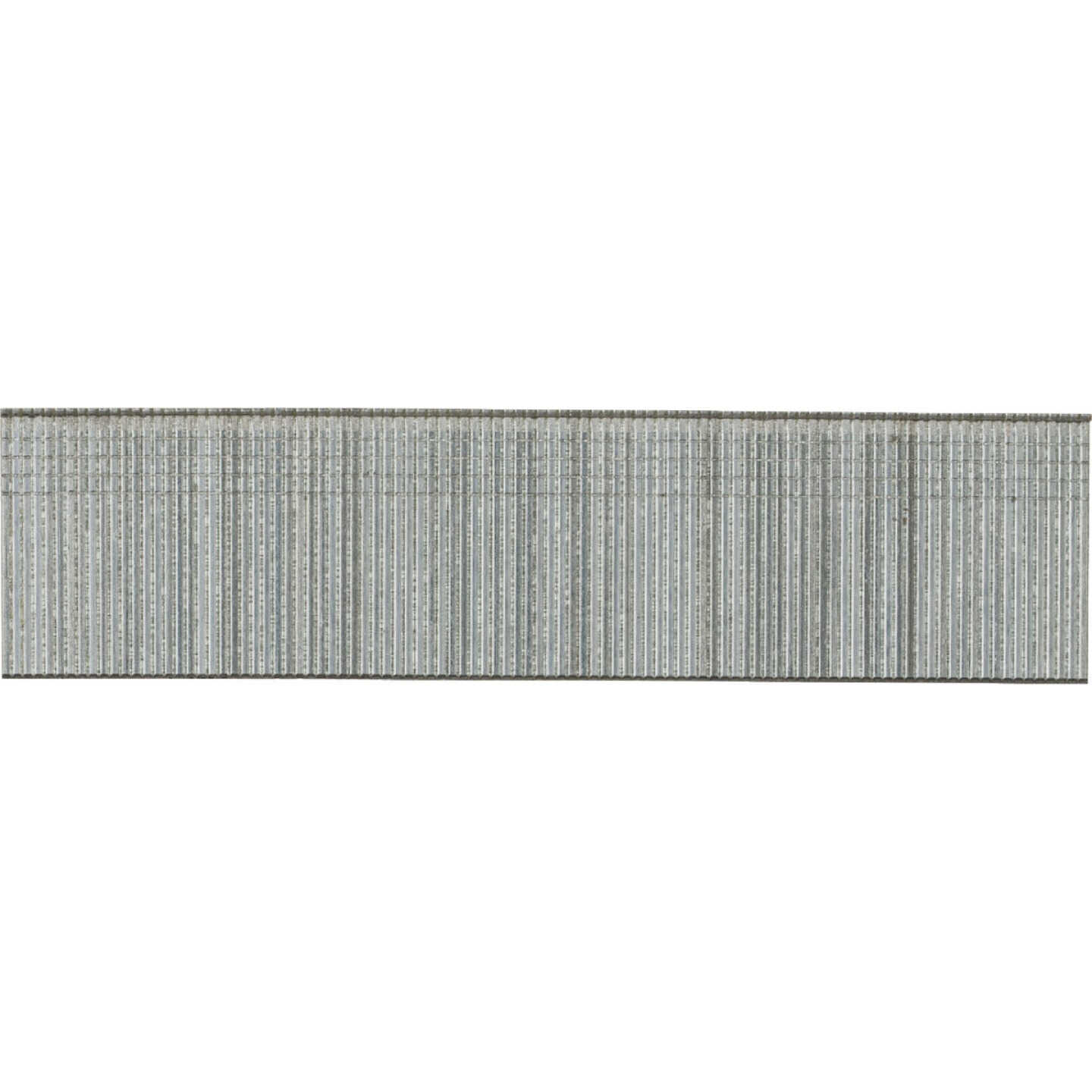 Pro-Fit 1-1/4 In. 18 Gauge Electro Galvanized Brad Nail (1000 Ct.) Image 1
