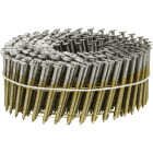 Pro-Fit 1-3/4 In. x 0.093 In. 15 Degree Wire Weld 304-Stainless Steel Coil Siding Nail (3600 Ct.) Image 1
