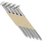 Grip-Rite 30 Degree Paper Tape Stainless Steel Offset Round Head Framing Stick Nail, 2-3/8 In. x .120 In. (1000 Ct.) Image 1