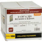 Pro-Fit 3-1/4 In. x 0.120 In. 21 Degree Plastic Strip Round Head Hot Dipped Galvanized Framing Stick Nails (4000 Ct.) Image 2