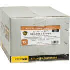 Pro-Fit 3-1/4 In. x 0.120 In. 15 Degree Wire Weld Brite Smooth Shank Coil Framing Nail (2500 Ct.) Image 2