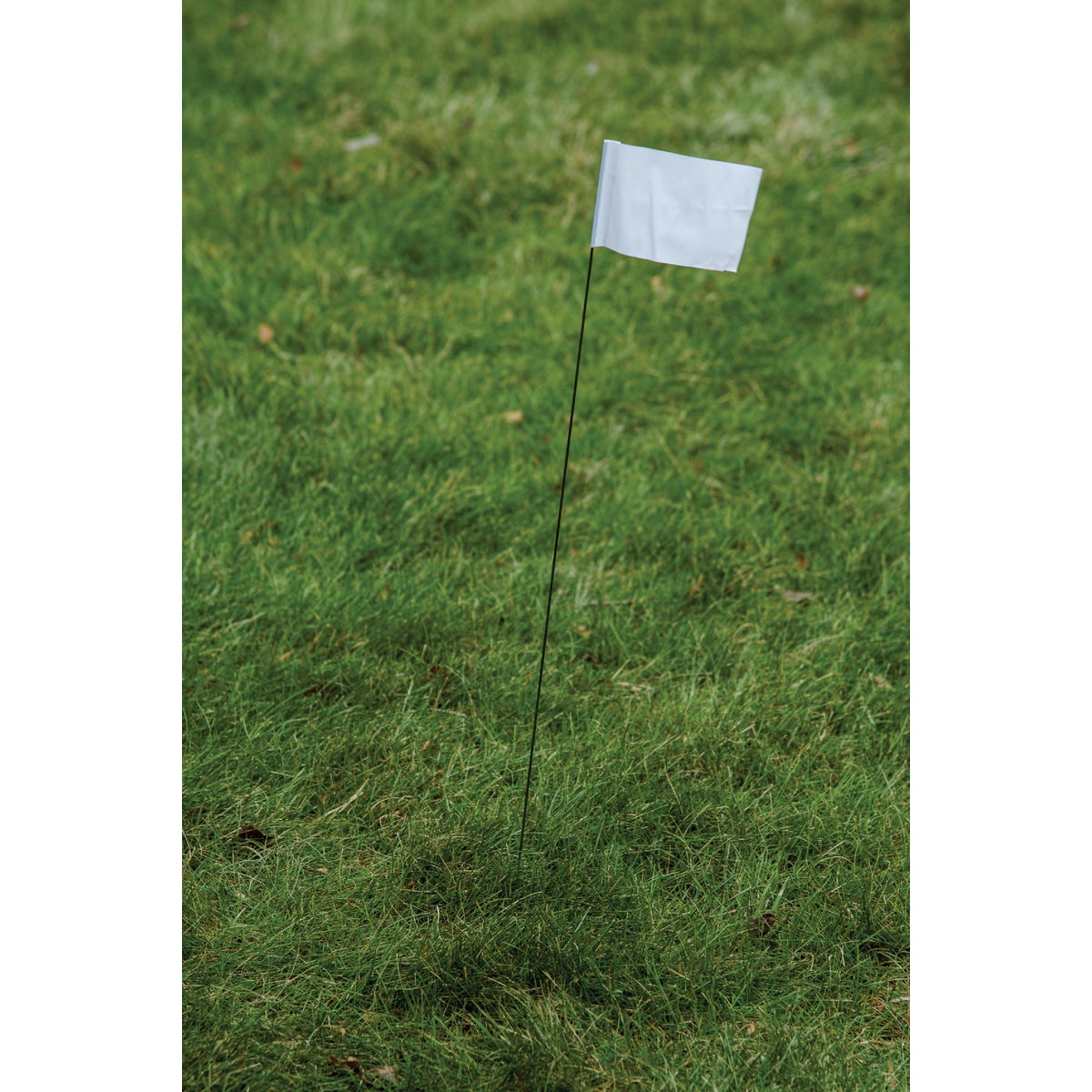 C.H. Hanson 21 In. White Marking Flag (100-Pack) Image 2