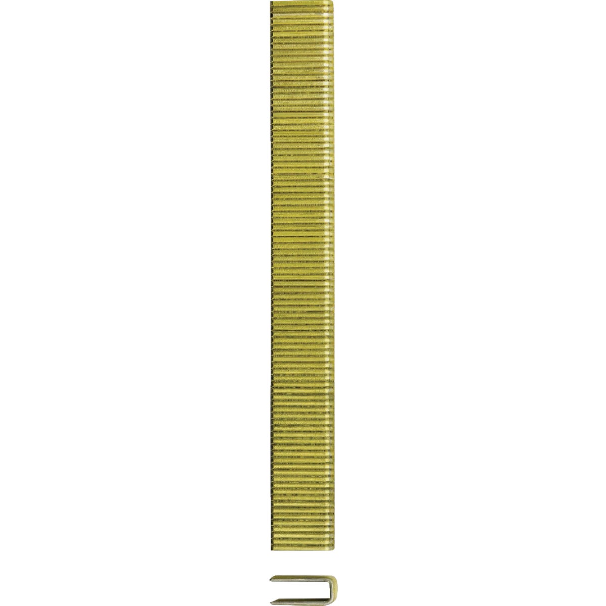 DEWALT 1/4 In. x 1/2 In. 18-Gauge Collated Crown Staples (2500 Ct.) Image 2