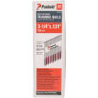 Paslode 3-1/4 In. x 0.131 In. 30 Deg. Paper Tape Smooth Shank Offset Roundrive Brite Collated Framing Nails (750-Count) Image 1