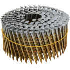Pro-Fit 2-3/8 In. x 0.113 In. 15 Degree Wire Weld Brite Ring Shank Coil Framing Nail (3000 Ct.) Image 1
