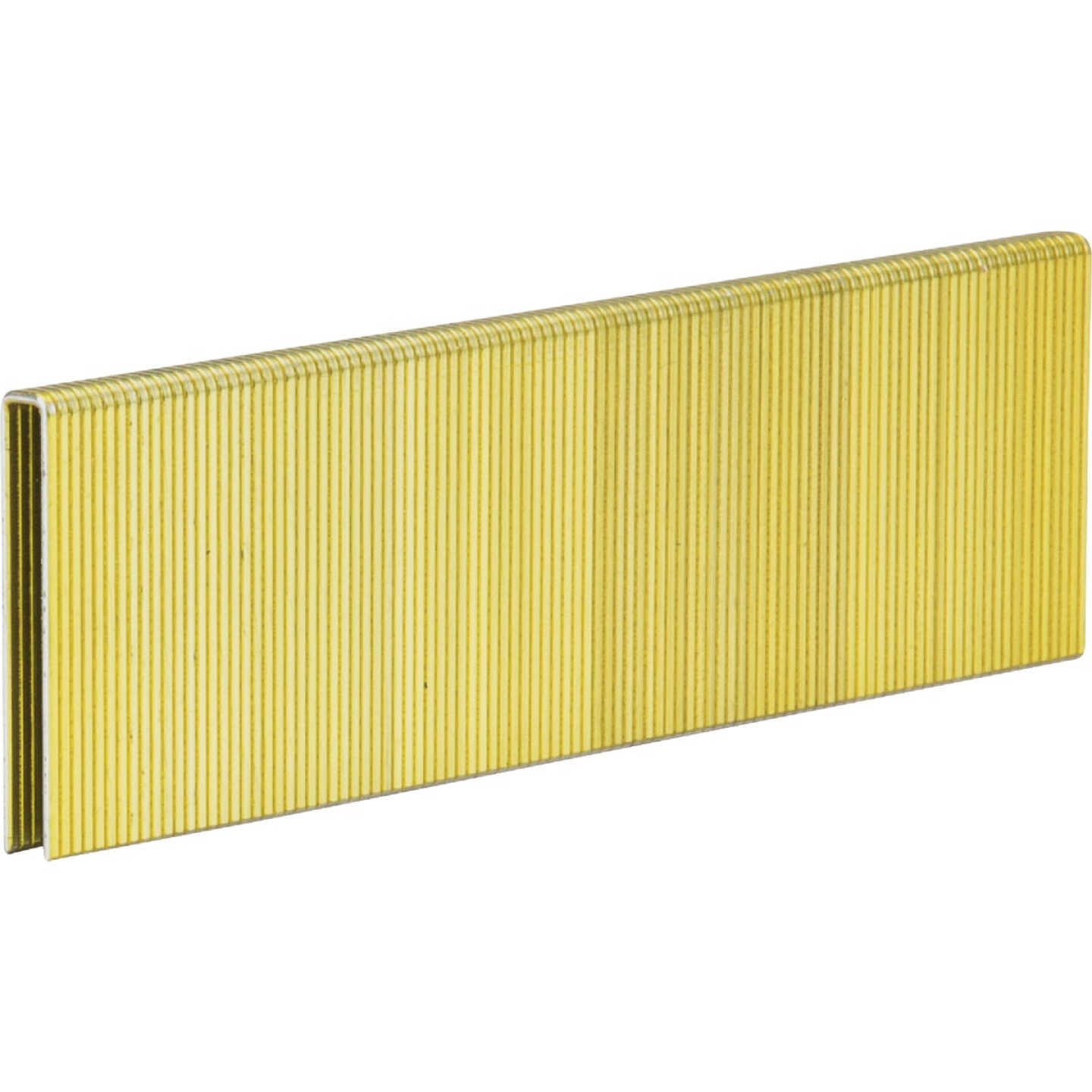 Pro-Fit 1/4 In. x 1-1/4 In. 18 Gauge Electro Galvanized L-Style Narrow Crown Staple (4000 Ct.) Image 1