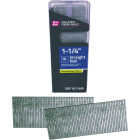 Grip-Rite 1-1/4 In. 16 ga Electrogalvanized Straight Collated Finishing Nail (1000-Count) Image 1