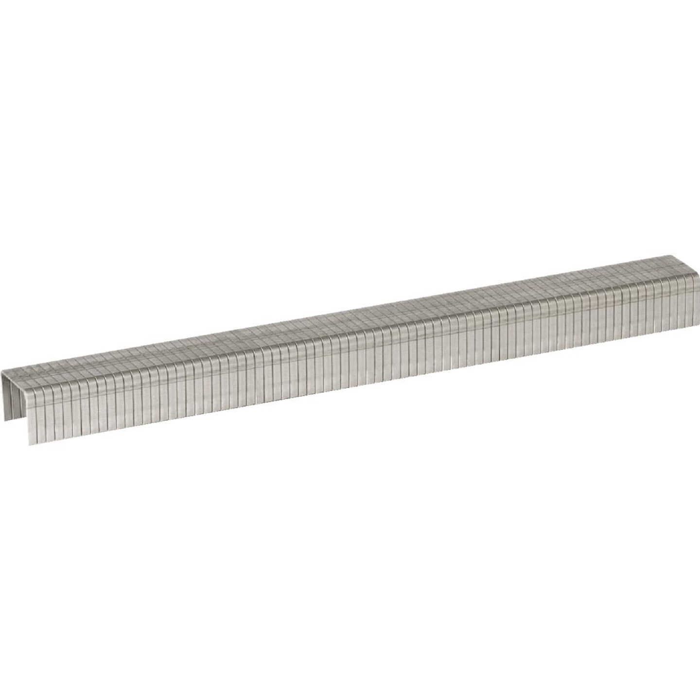 Arrow T50 Heavy-Duty Stainless Steel Staple, 5/16 In. (1000-Pack) Image 2