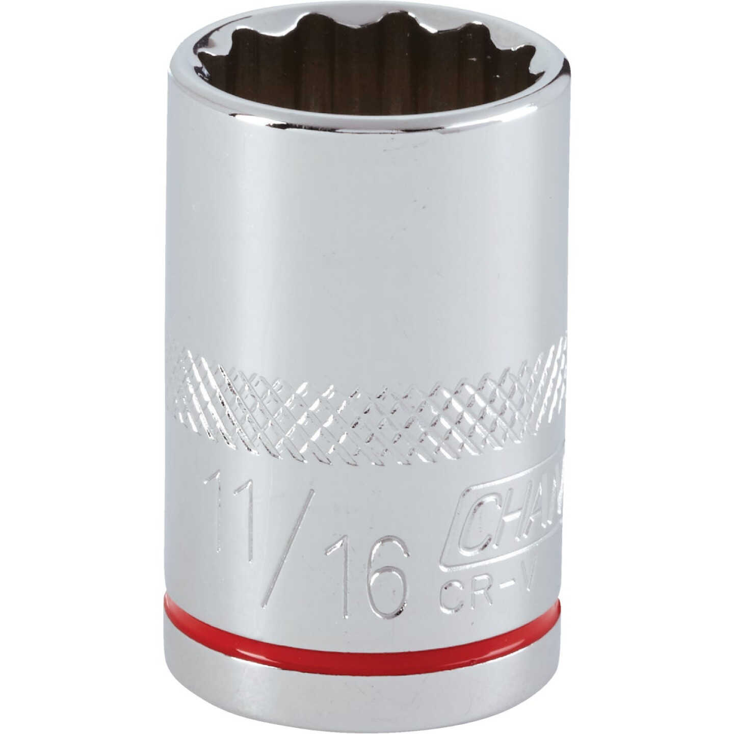 Channellock 1/2 In. Drive 11/16 In. 12-Point Shallow Standard Socket Image 1