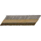 Pro-Fit 2 In. x 0.113 In. 30 Degree Paper Tape Ring Shank Clipped Head Brite Framing Stick Nails (2000 Ct.) Image 1