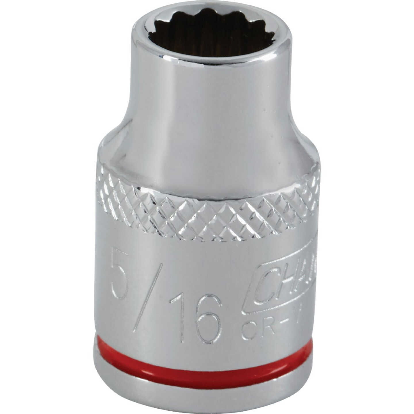 Channellock 3/8 In. Drive 5/16 In. 12-Point Shallow Standard Socket Image 1