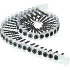 Senco DuraSpin #6 x 1-1/4 In. Phillips Bugle Head Collated Drywall Screw, Phospate Finish (1000 Ct.) Image 3